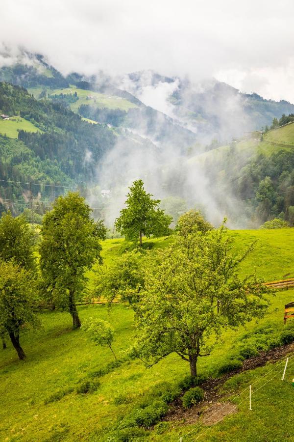 Bio Bauernhof Oberbenk * Wagrain