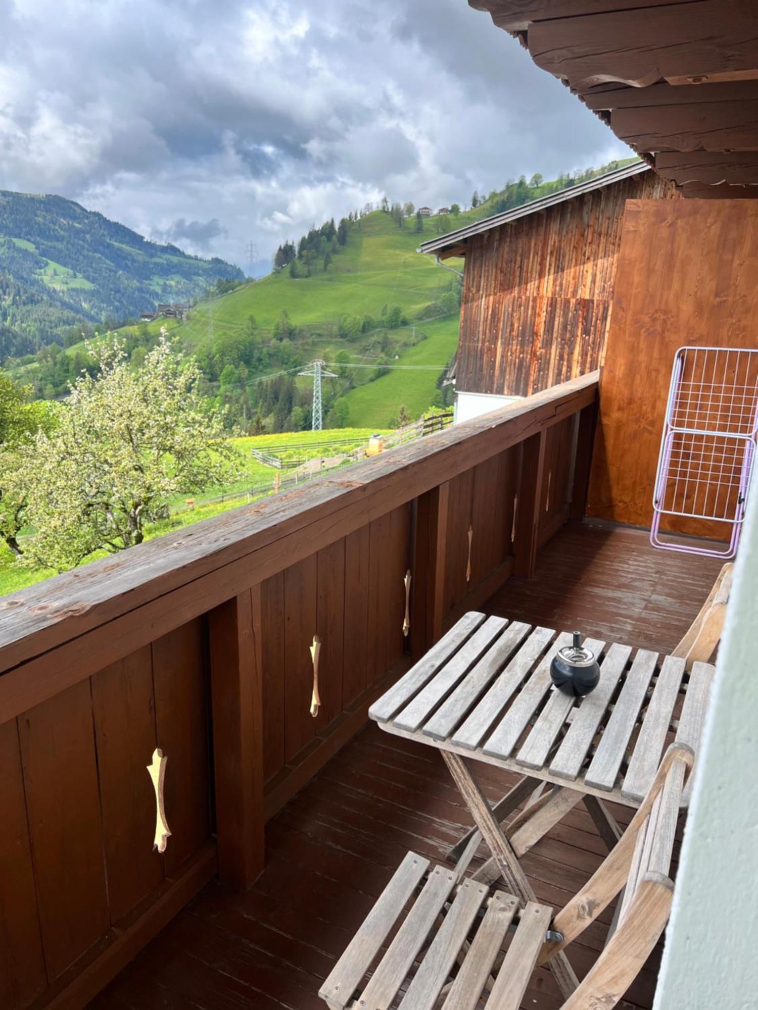 Bio Bauernhof Oberbenk Wagrain