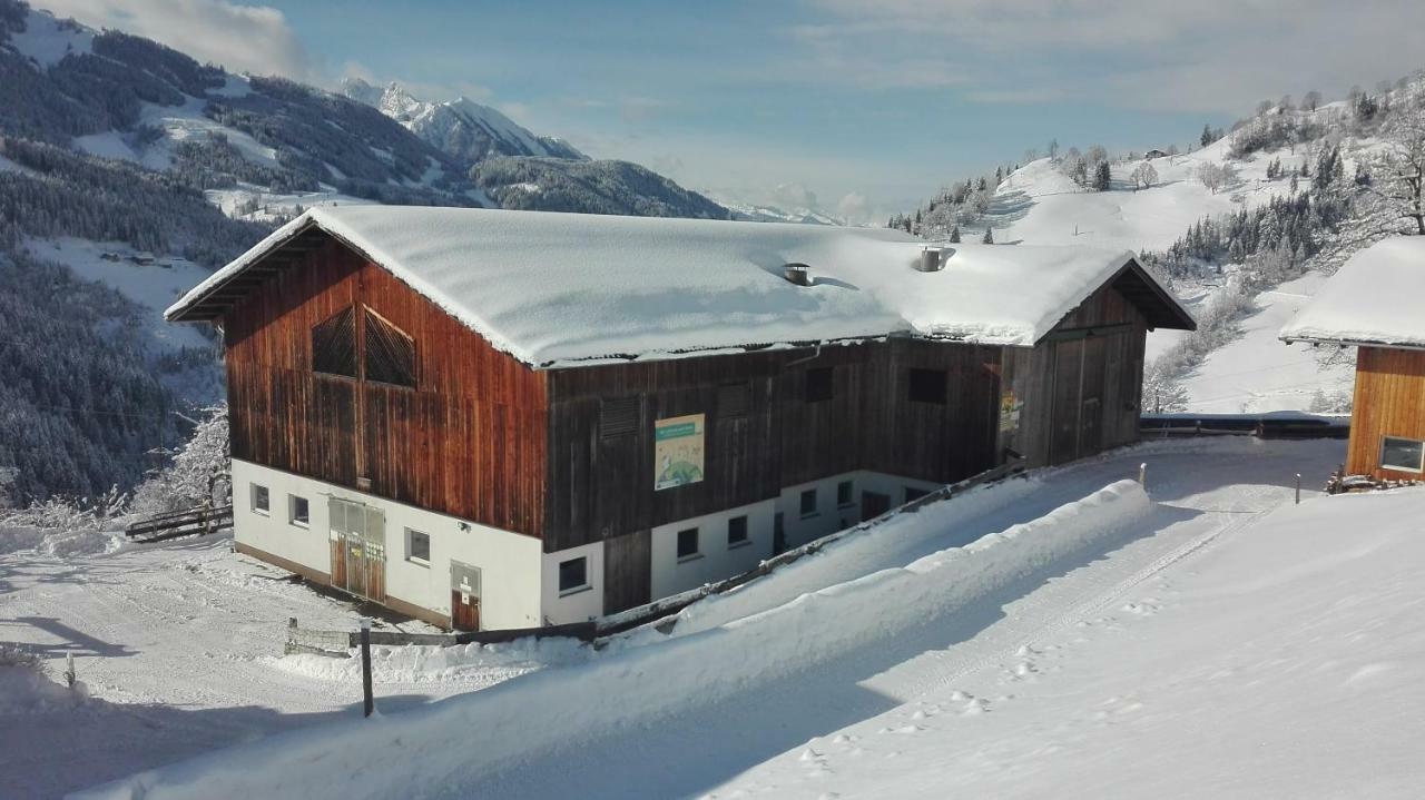 Bio Bauernhof Oberbenk