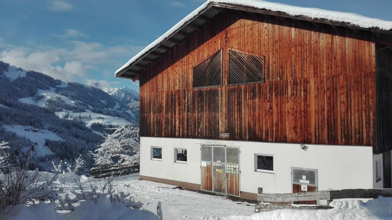 Bio Bauernhof Oberbenk Wagrain